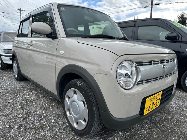 アルトラパンベージュ4483