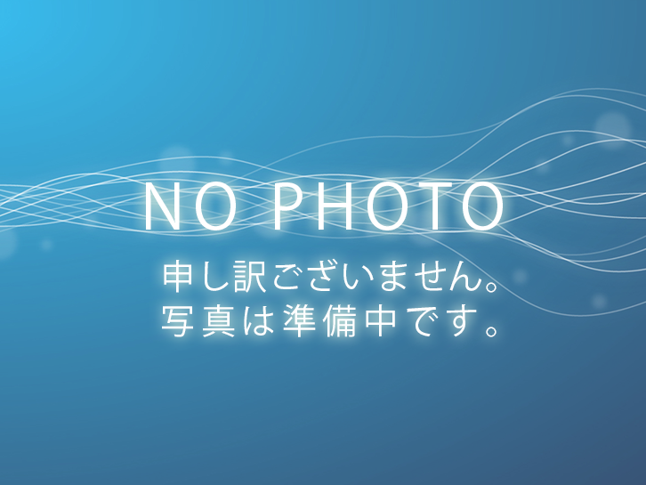 N-ONE銀　Gローダウンベーシック